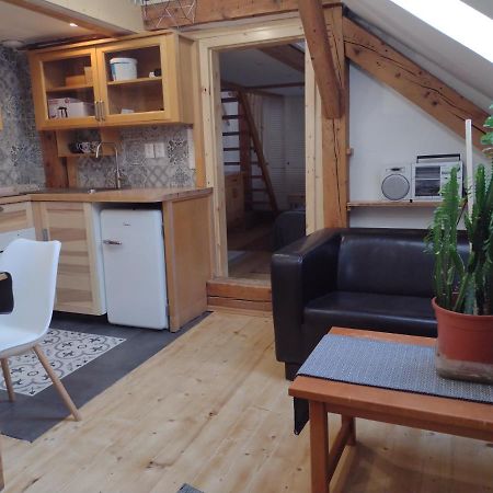 Studio Blizko Centra, Zilinska 20 Bratislava Ngoại thất bức ảnh