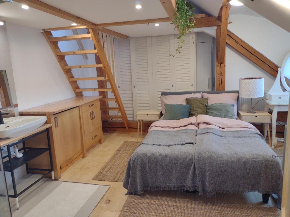 Studio Blizko Centra, Zilinska 20 Bratislava Ngoại thất bức ảnh